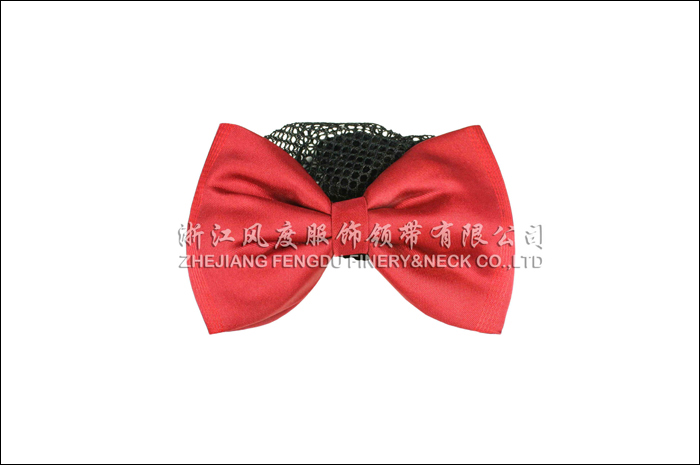6194313_南方電網頭花-1.jpeg