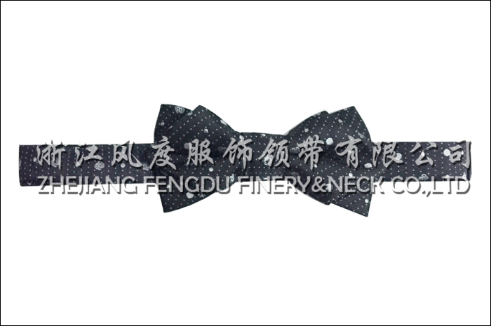 10471739_領結6.jpeg