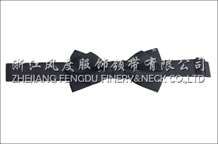 10471742_領結9.jpeg